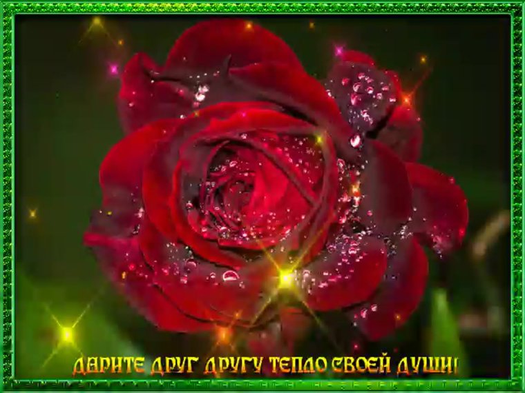 Цветы анимационные для друзей