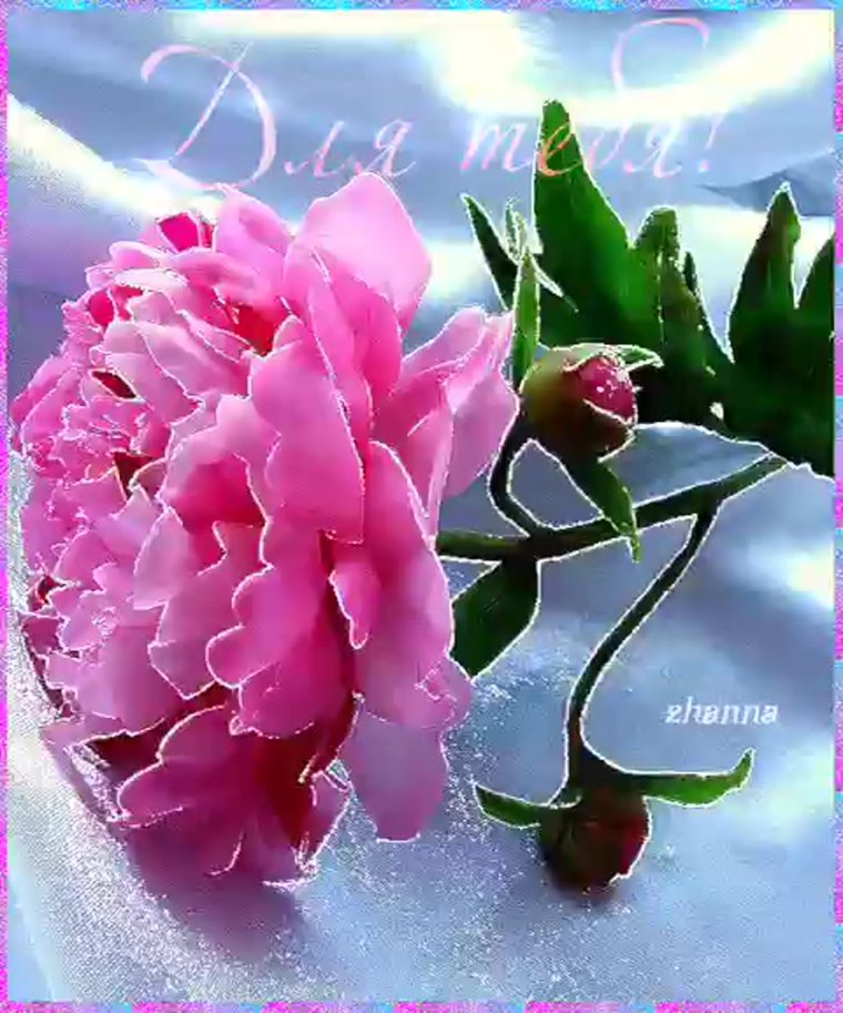 Нежные цветы для тебя