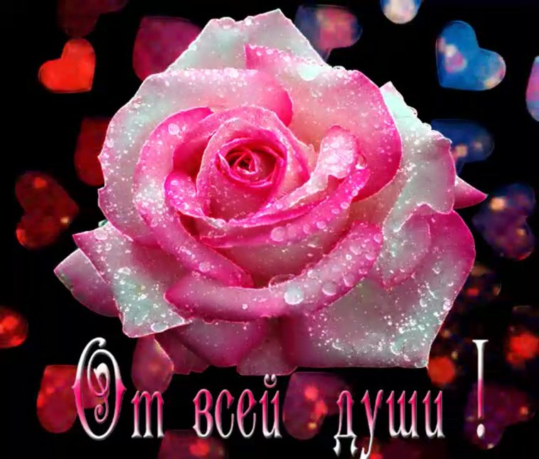 Самые красивые анимационные открытки