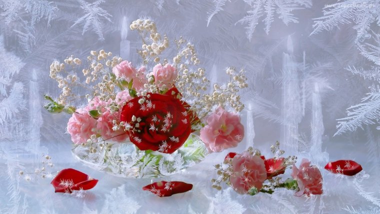 Открытки зимние цветы