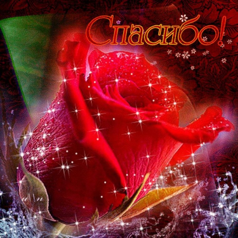 Спасибо анимация