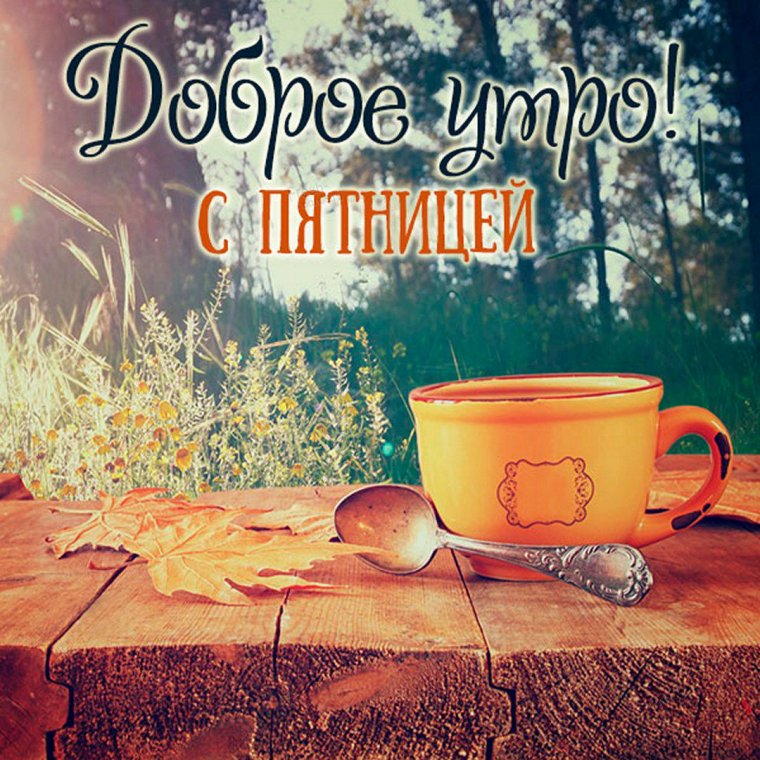 Вот и пятница пришла с добрым утром