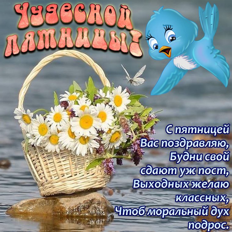 Утро пятницы