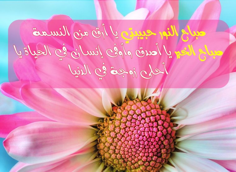 Поздравления с пятницей открытки