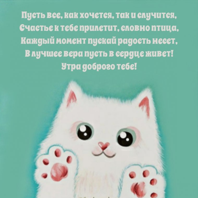 Чудесного утра и прекрасного дня