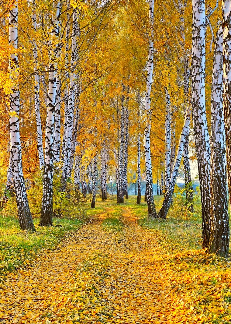 Ранняя осень