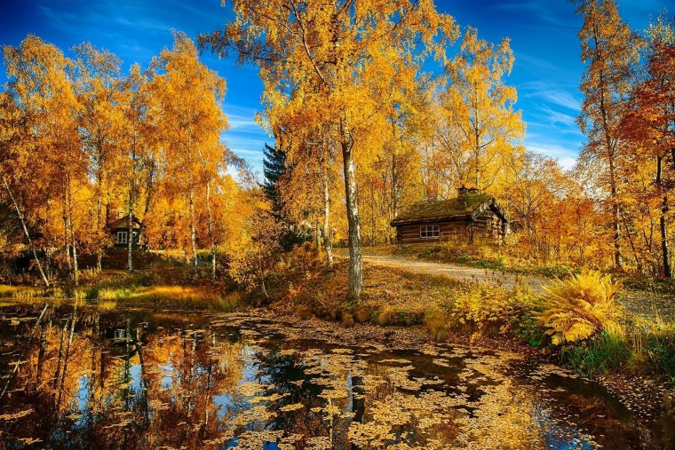 Осень в России