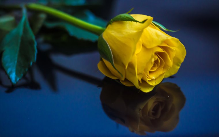 Цветы на прощание