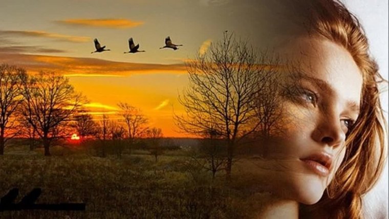 Девушка осень Журавли