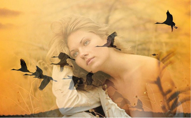 Девушка осень Журавли