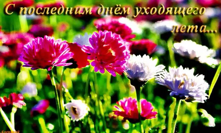 Поздравление с последним днем лета