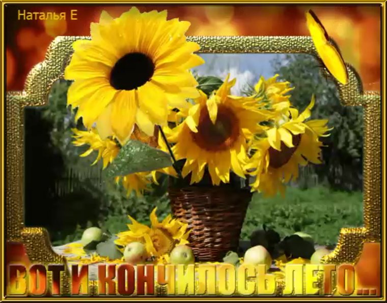 До свидания лето