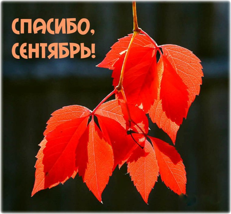 Прощай бабье лето