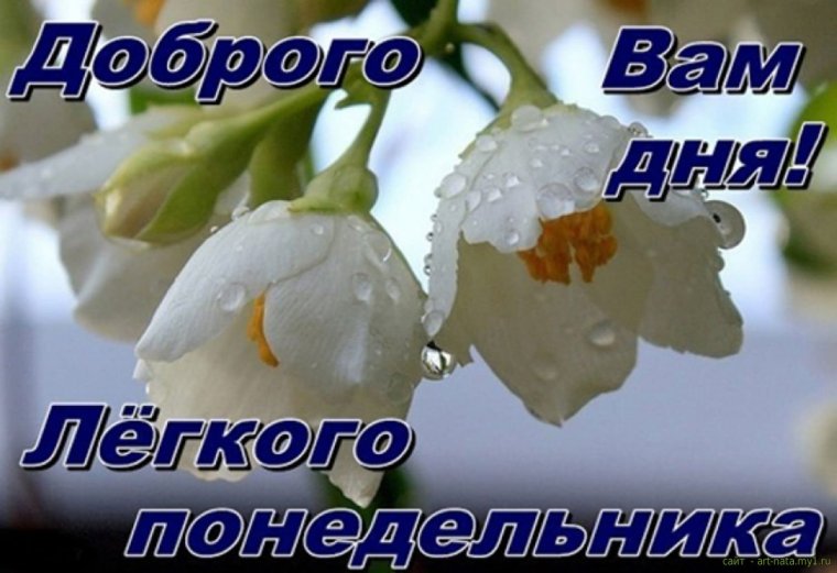 Доброго понедельника
