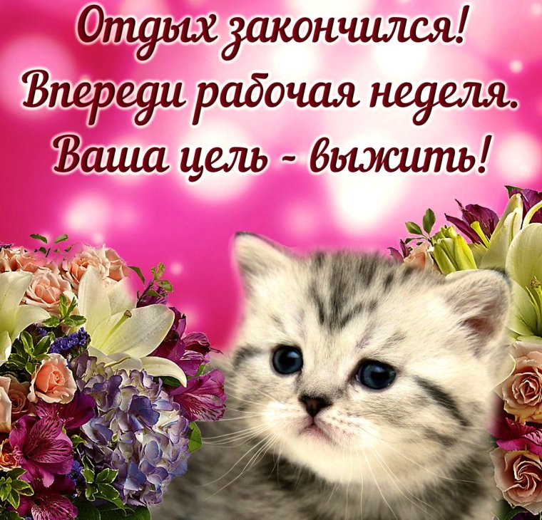 Пожелания на понедельник