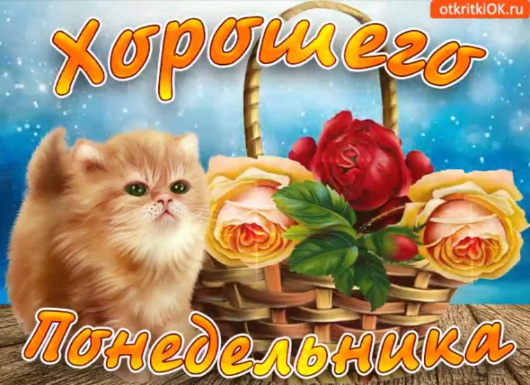 С началом новой недели