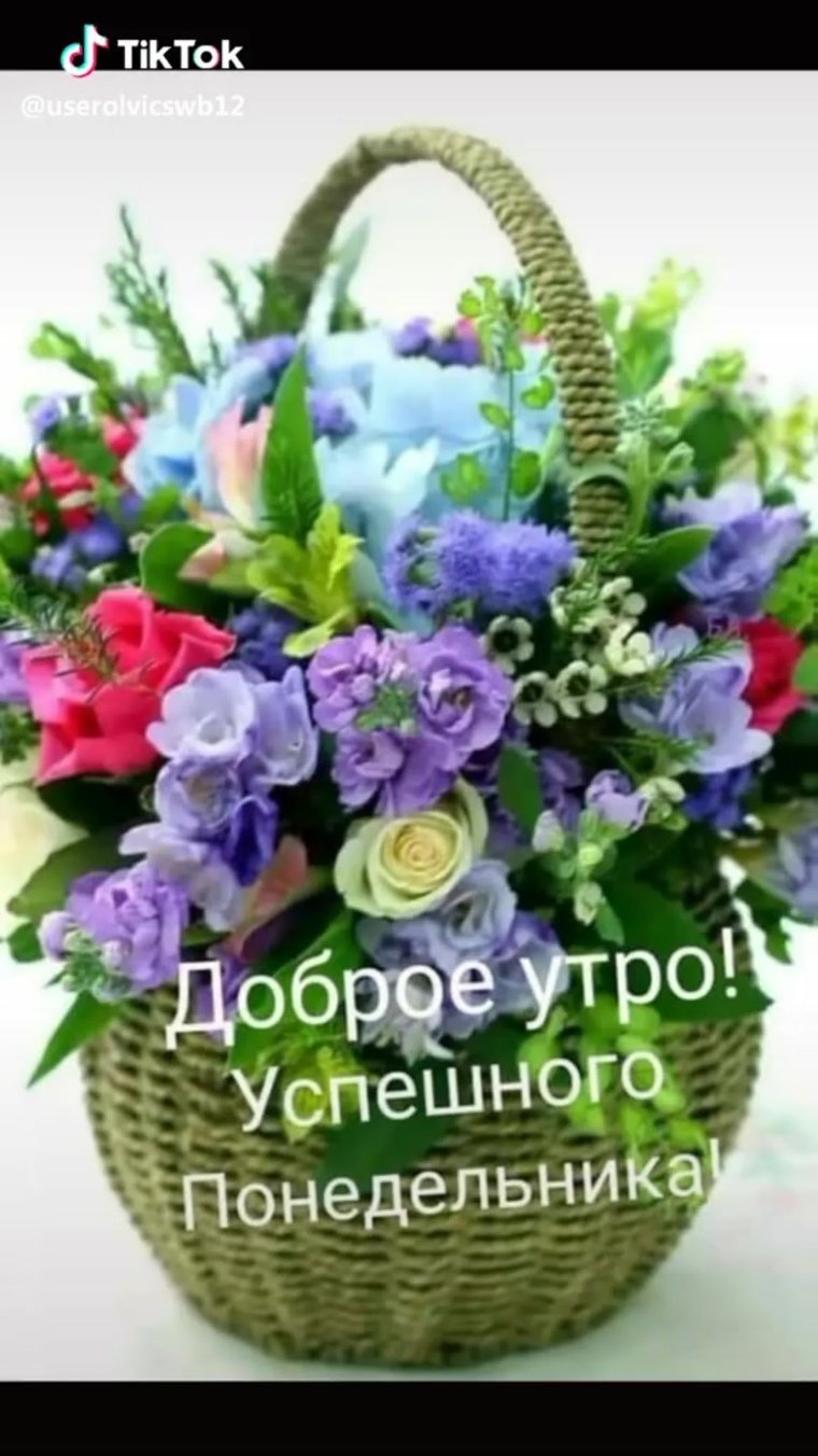 Доброе субботнее утро