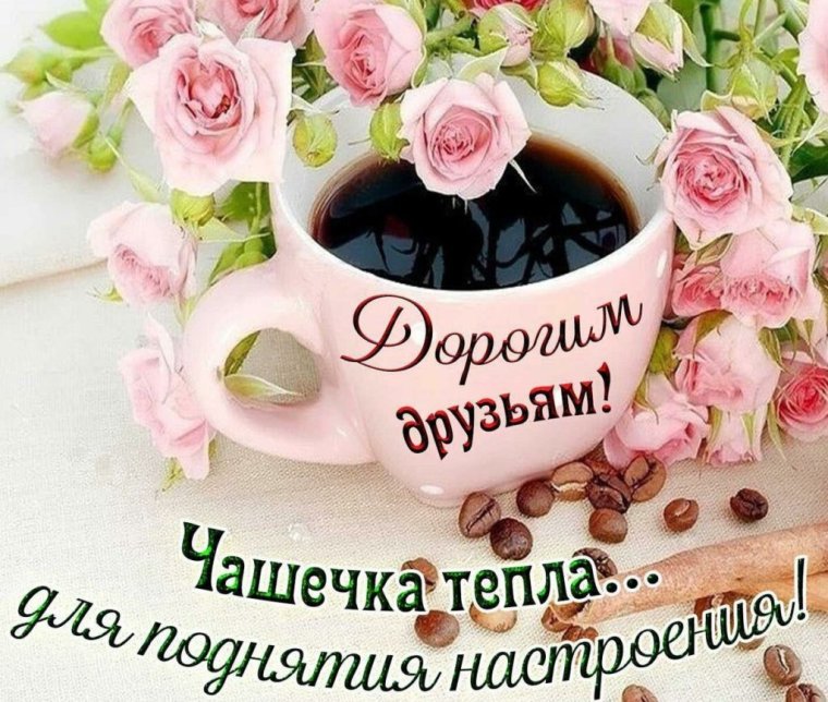 Котик с клубникой