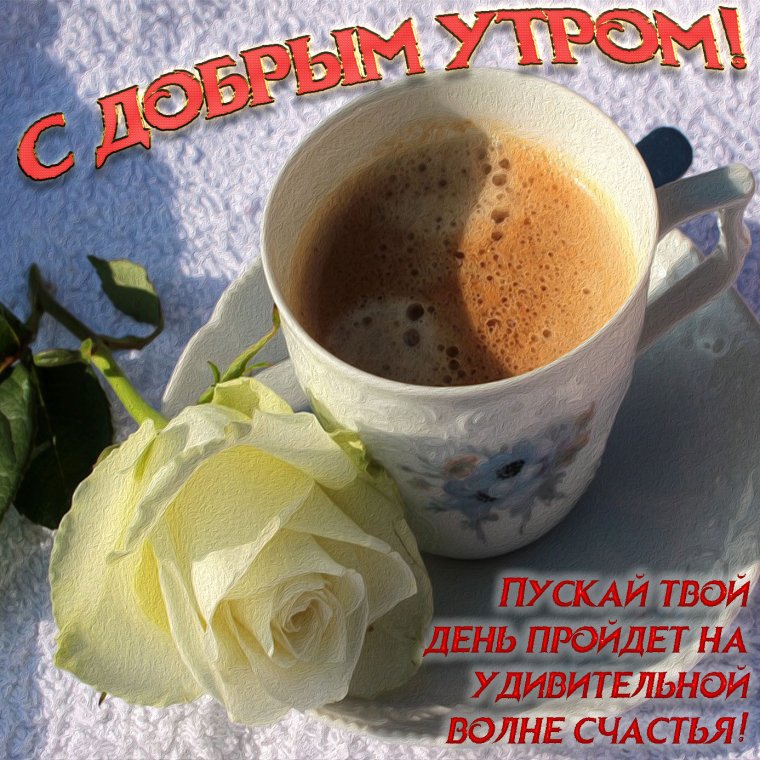 Доброго понедельника с тюльпанами