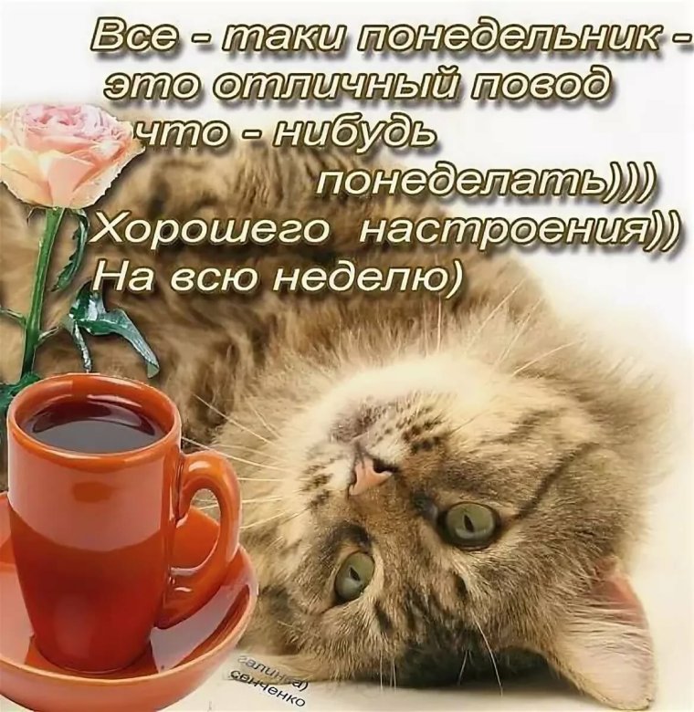 Поздравление с понедельником