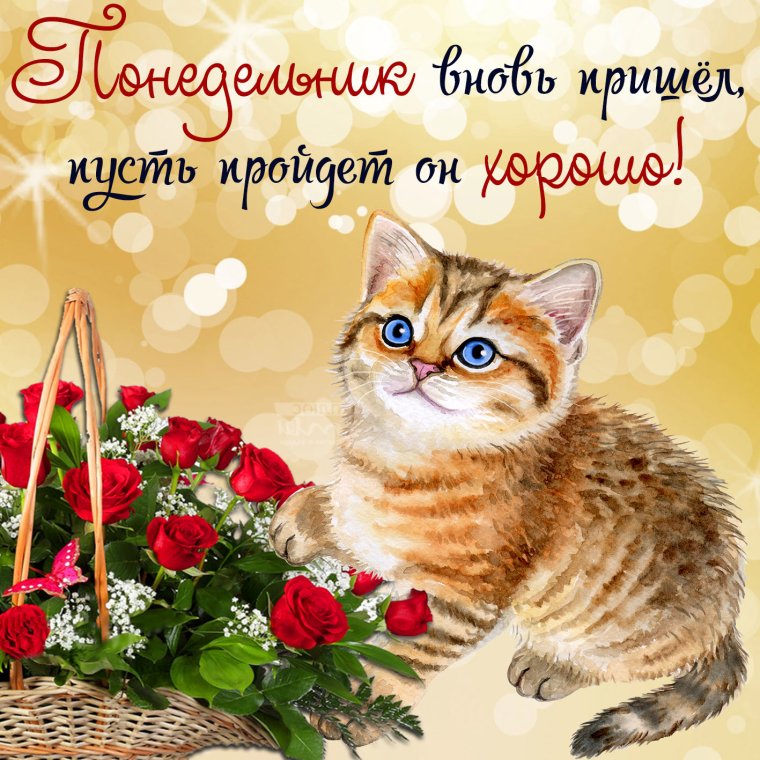 С добрым зимним утром понедельника