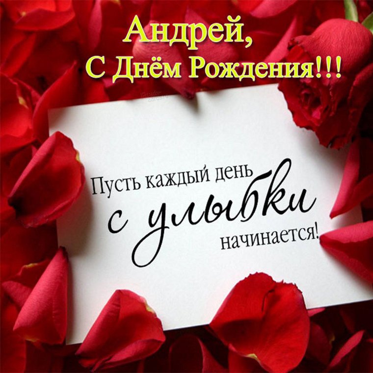 Заставка на рабочий стол рыбки