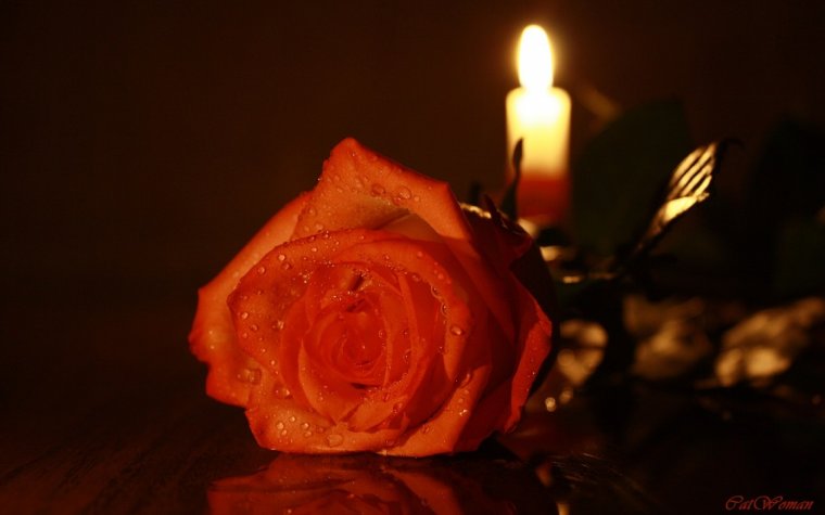 Скорбим и соболезнуем