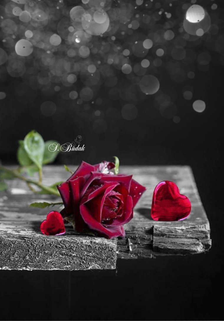 Поминальные цветы