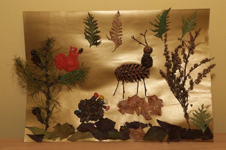 Гербарий из листьев