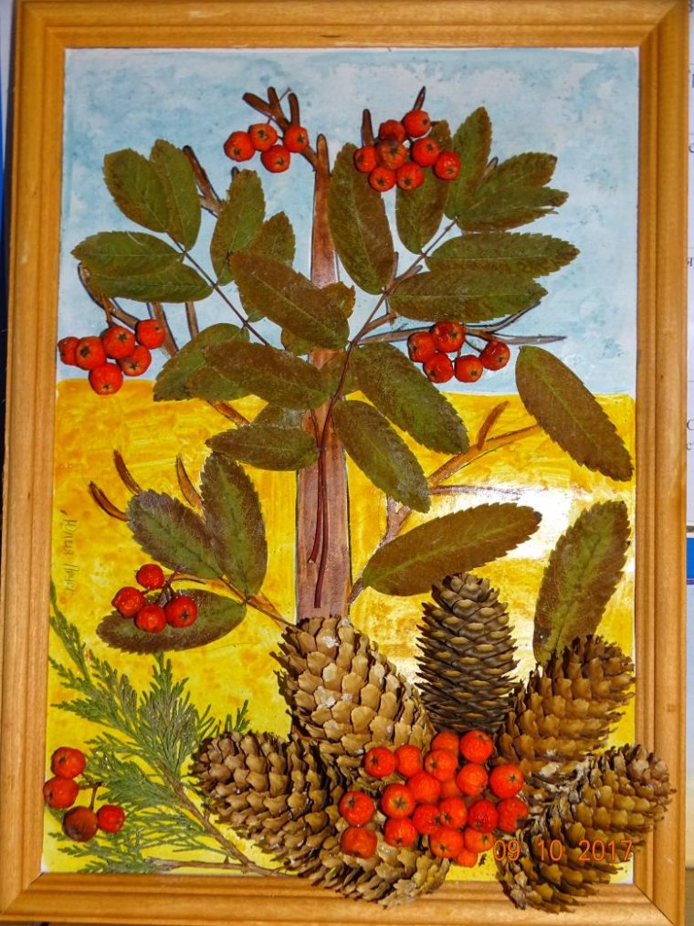 Осенние сухоцветы