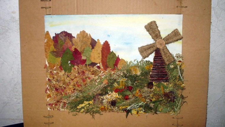 Гербарий из листьев и шишек