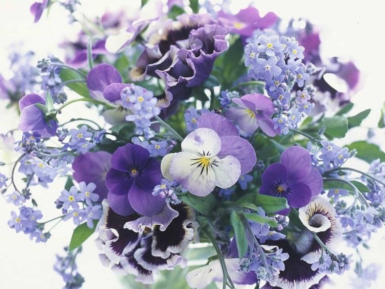 Фиалка букет незабудок