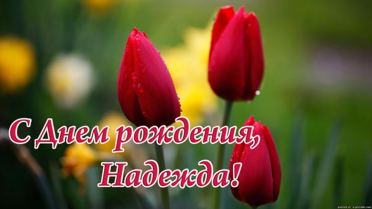 С Троицей открытки