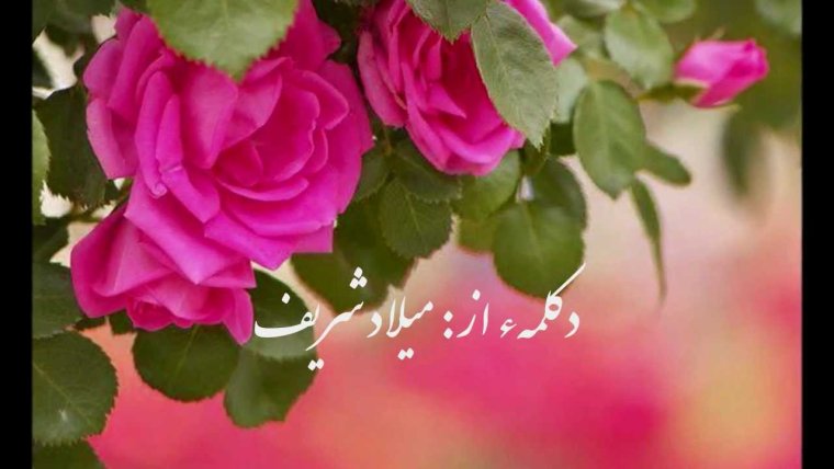 С днём рождения многая и Благая лета