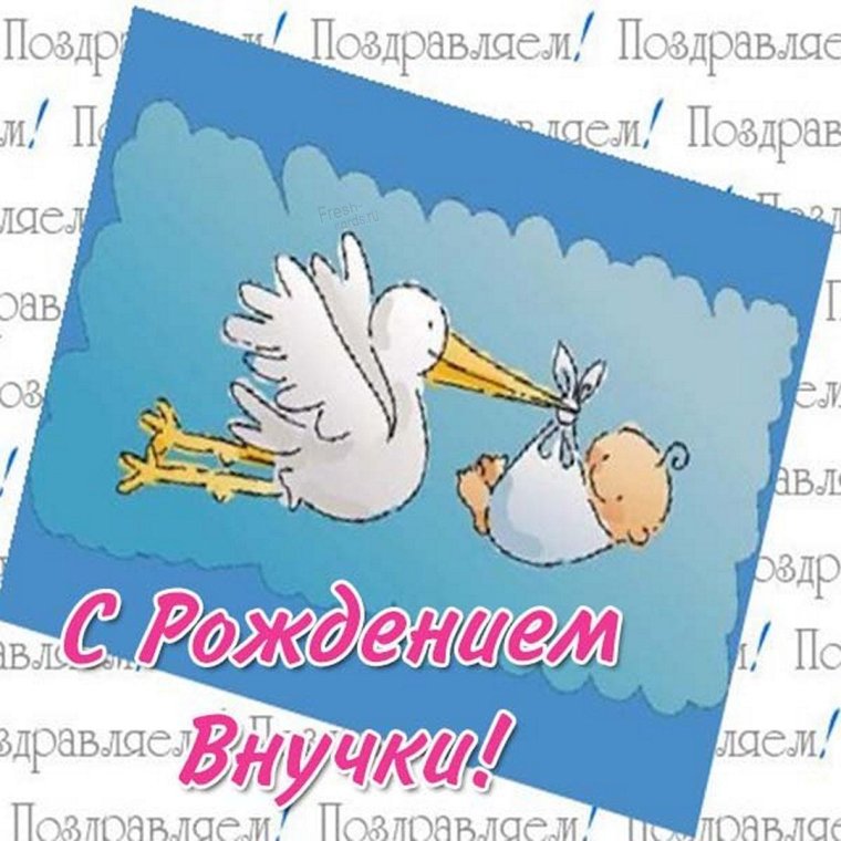 Поздравление с рождением вука