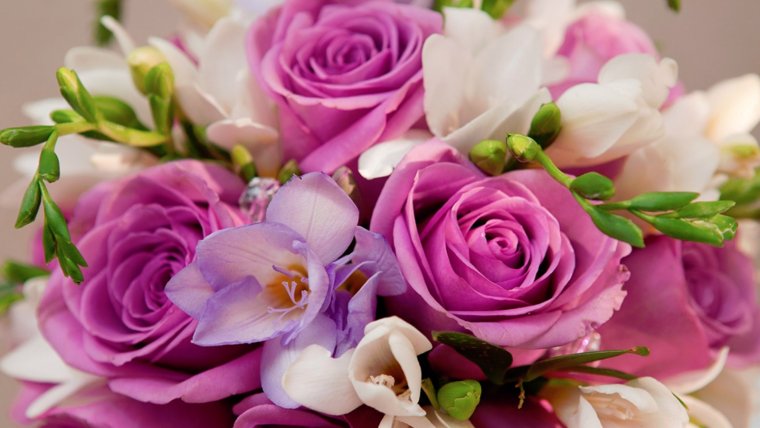 Опоздала поздравить с днем рождения