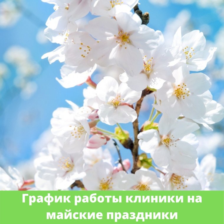 Христианские поздравления