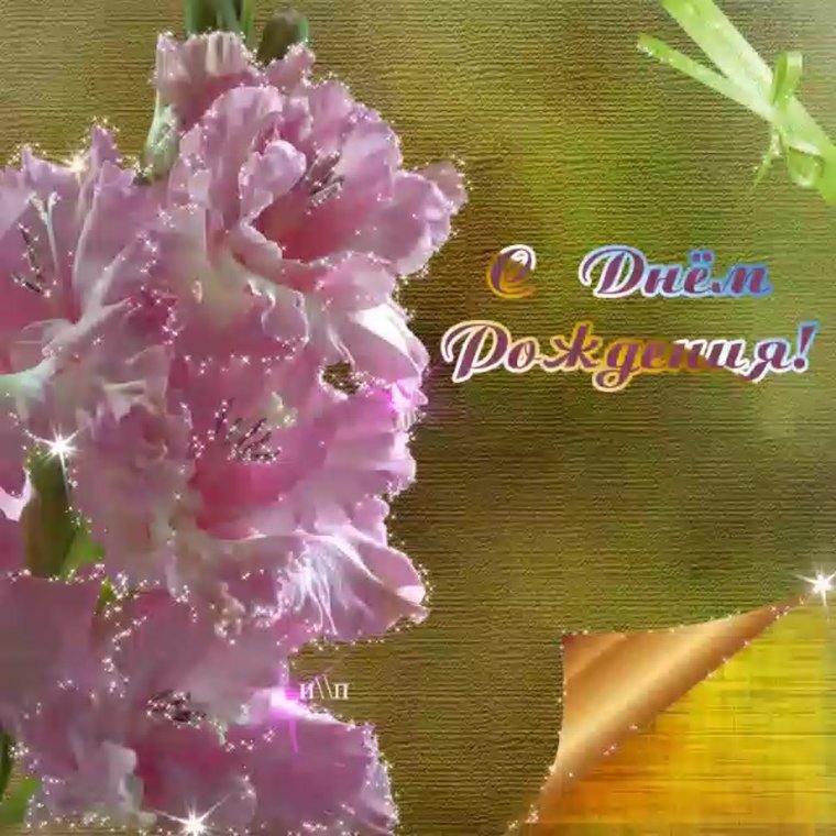 С днём рождения гладиолусы