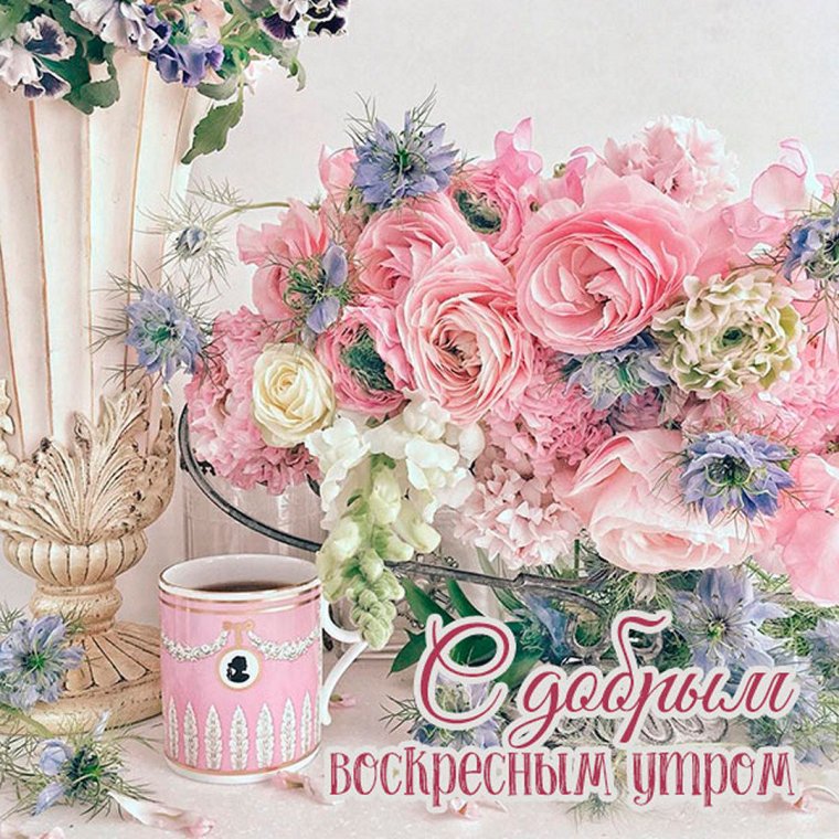 С добрым утром воскресенья