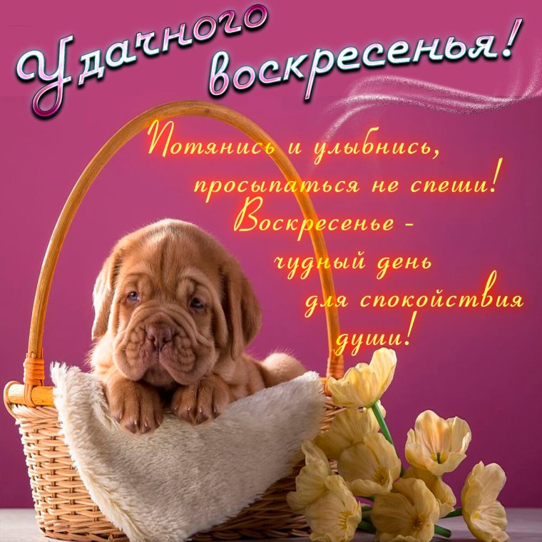 Поздравление с воскресеньем