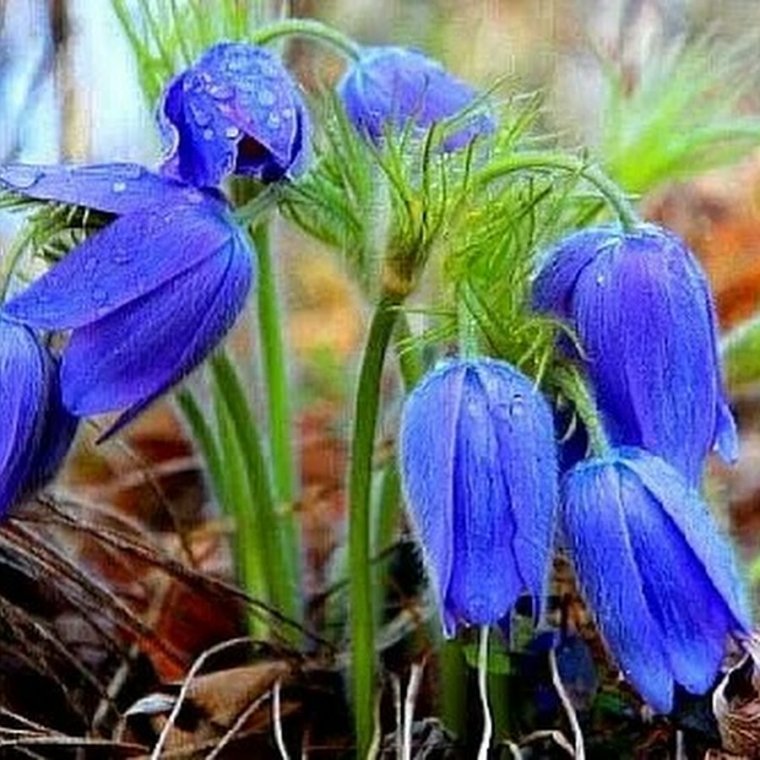 Чудесного воскресенья