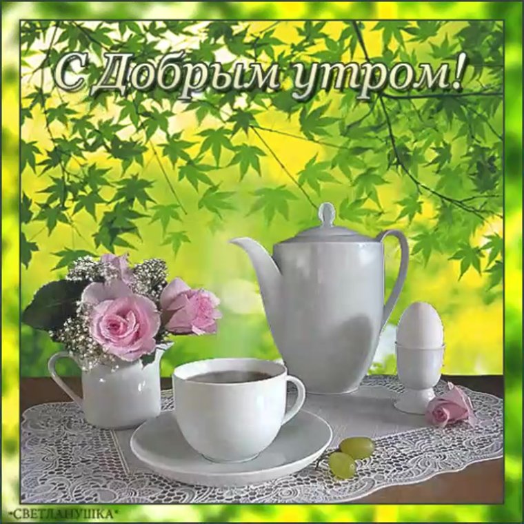 С добрым воскресным утром