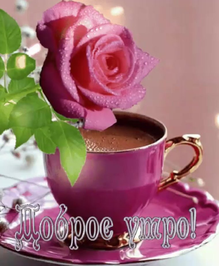 Пожелания с добрым утром и днём рождения