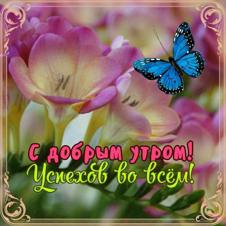 Открытки хорошего воскресенья