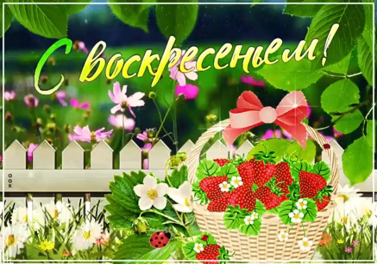 Прикольные поздравления с воскресеньем