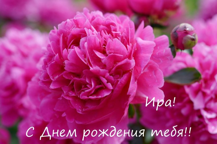 С днём рождения Ирина