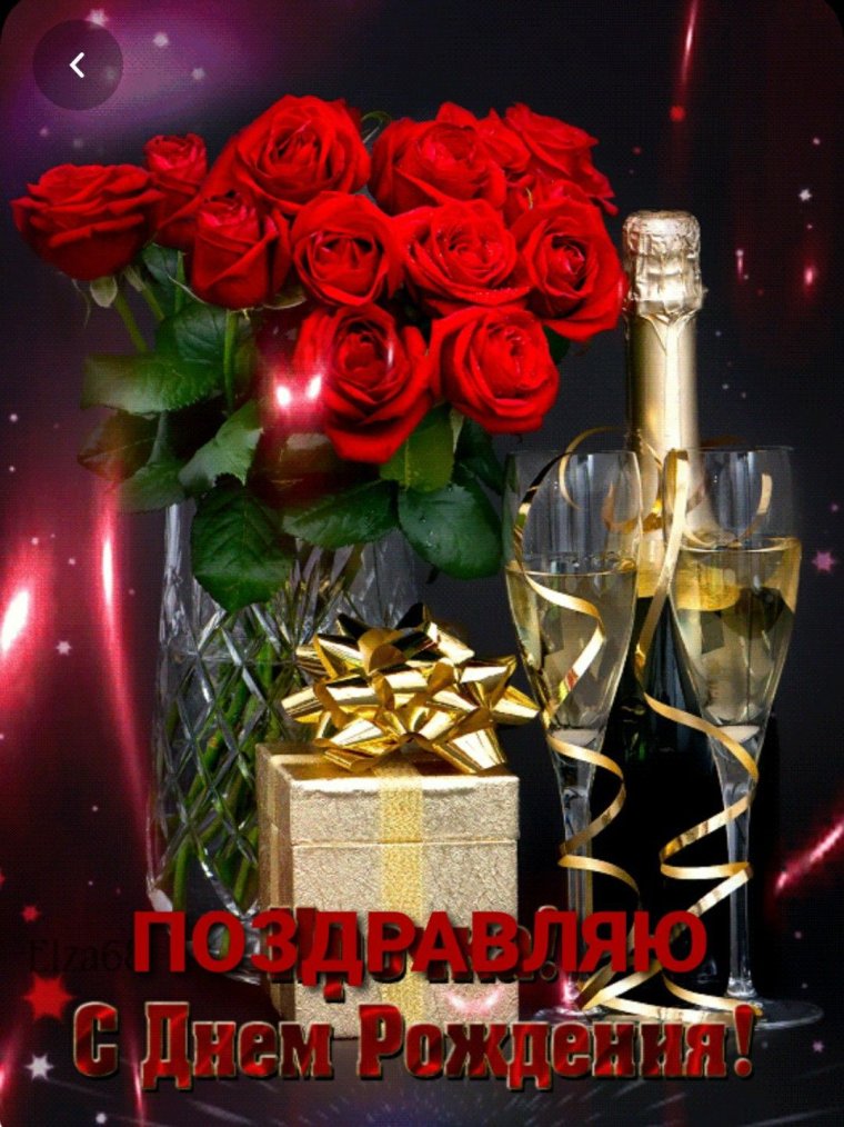 С днём рождения Ирина Никл
