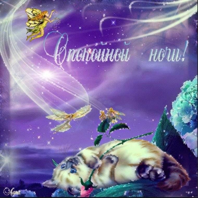 Красивые пожелания спокойной ночи