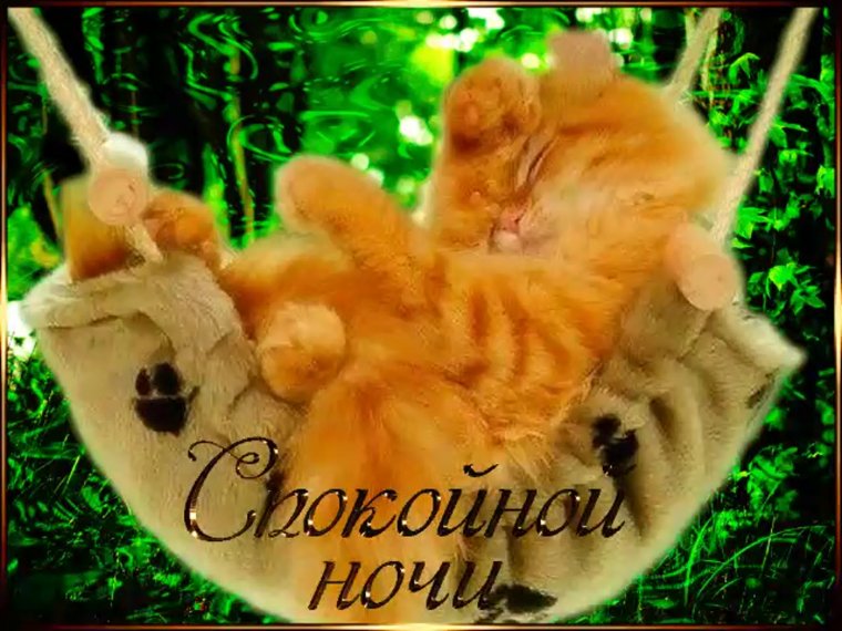 Анимационные открытки спокойной ночи