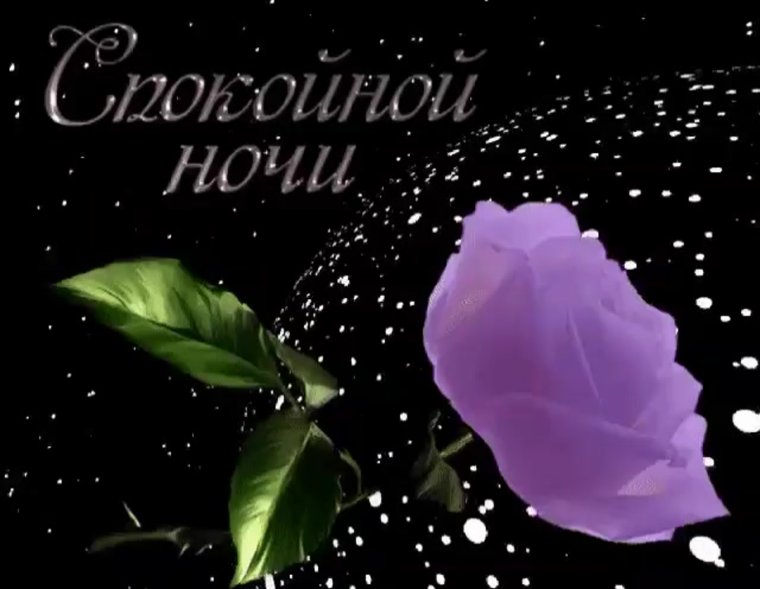 Спокойной ночи друзья